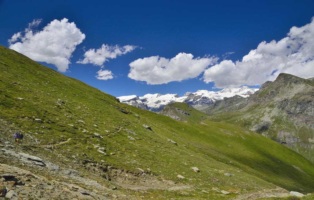 Le Coin Des Melezes - Nature & Trek - Camere In Baita Di Montagna Brusson Zewnętrze zdjęcie