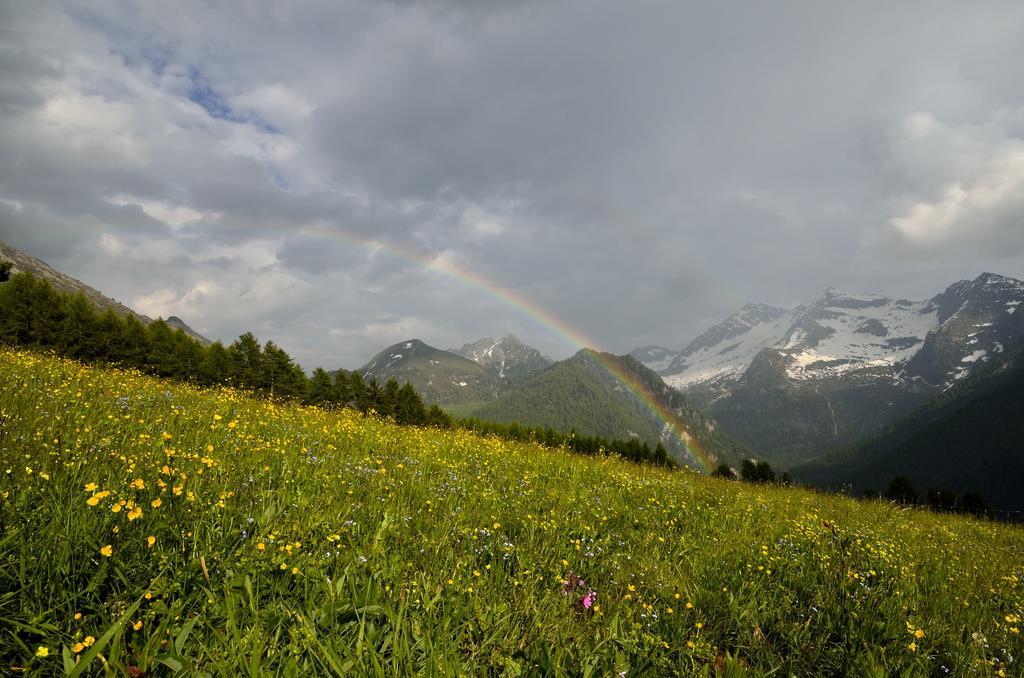 Le Coin Des Melezes - Nature & Trek - Camere In Baita Di Montagna Brusson Zewnętrze zdjęcie