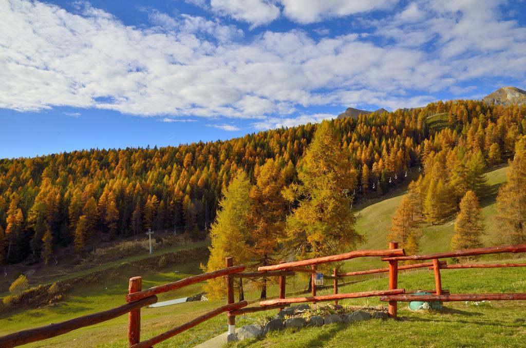 Le Coin Des Melezes - Nature & Trek - Camere In Baita Di Montagna Brusson Zewnętrze zdjęcie