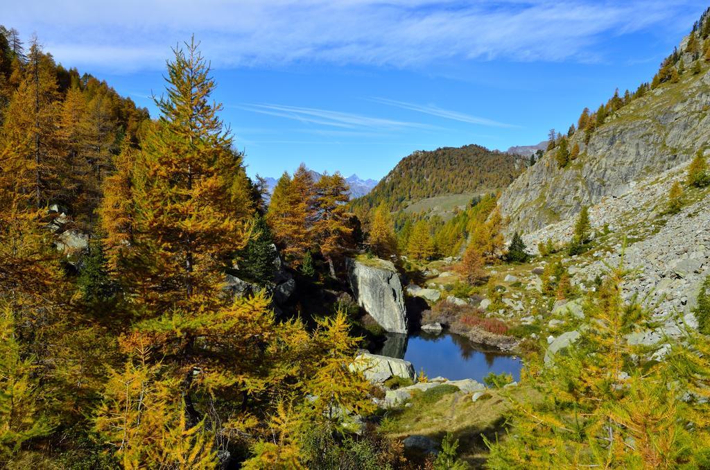 Le Coin Des Melezes - Nature & Trek - Camere In Baita Di Montagna Brusson Zewnętrze zdjęcie