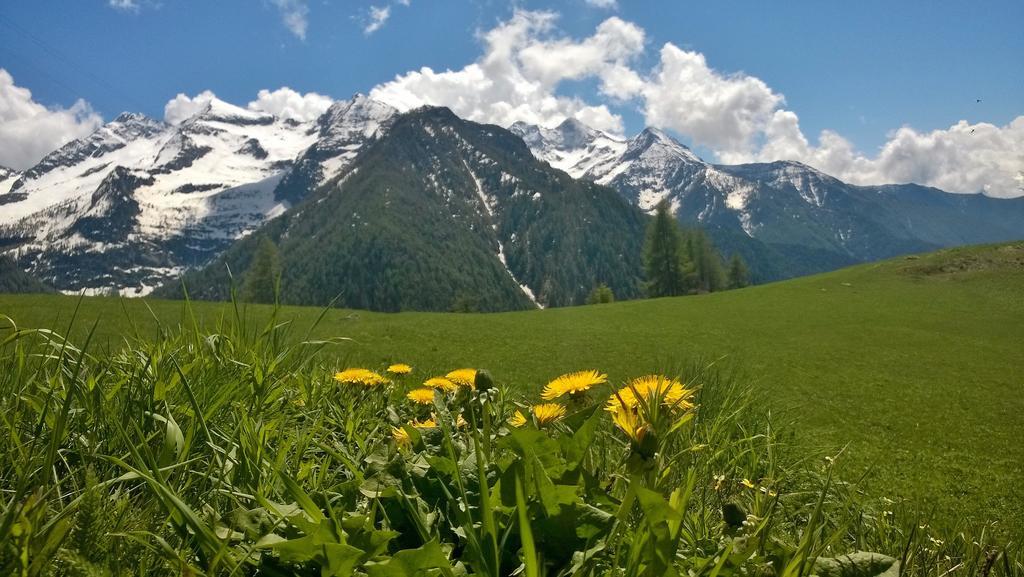 Le Coin Des Melezes - Nature & Trek - Camere In Baita Di Montagna Brusson Zewnętrze zdjęcie